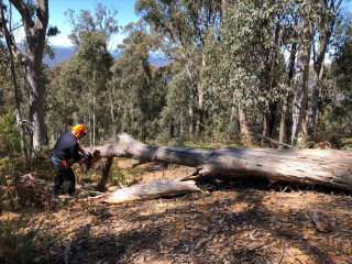 Track clearing for ParksVic